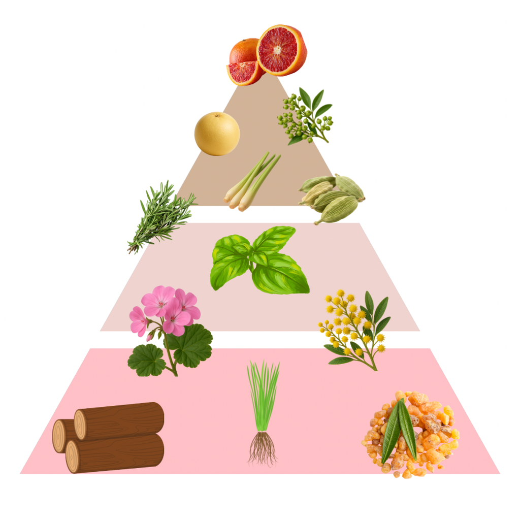 Untitled design.webp