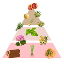 Untitled design.webp